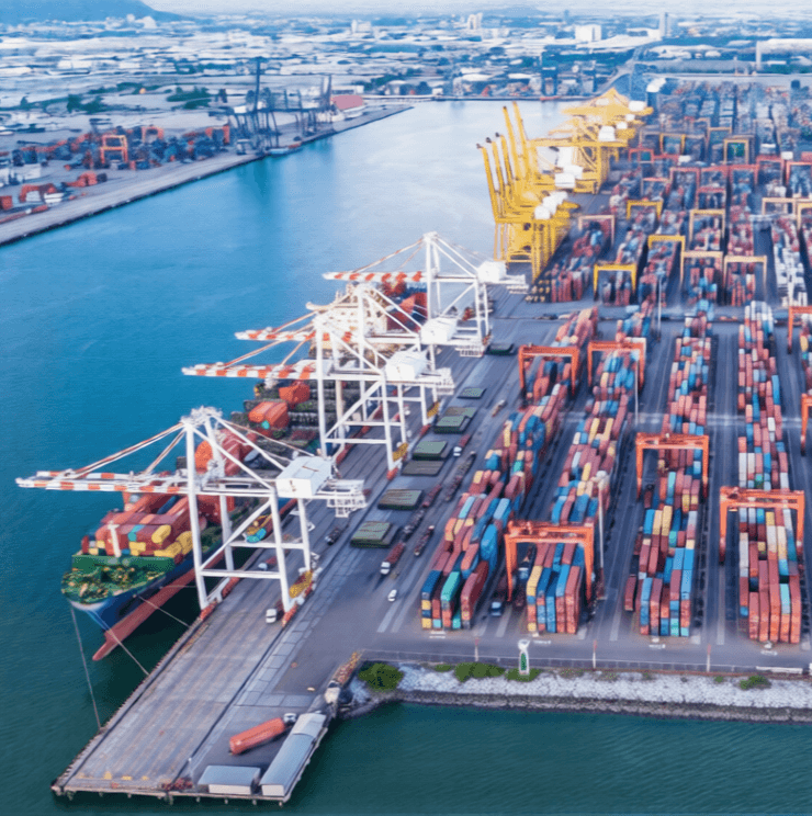 Supply Chain Consultation